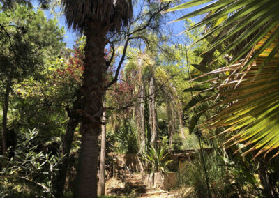 Ma Maison en Andalousie - Casa Simba jardin